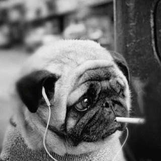 Логотип @steamavatars - Авы&обои dota cs