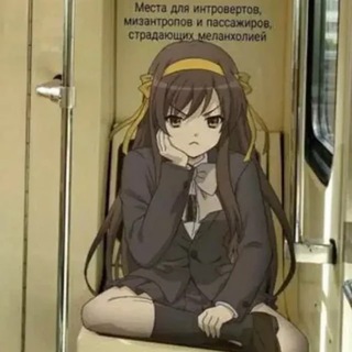 Логотип @steamsoftware - 25% блога пиндоса, 75% блога сени