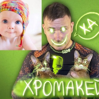 Логотип @stedap - ХРОМАКЕЙ по фану