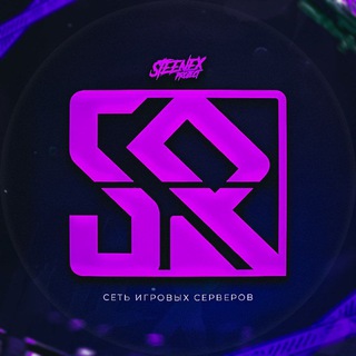 Логотип @steenex_project - Steenex project