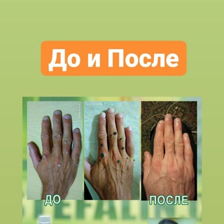 Логотип @stefalingroup - Стефалин обсуждение, отзывы