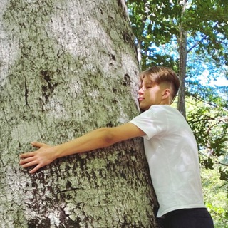 Логотип @stefanlifetvofficial - SteFAN life TV