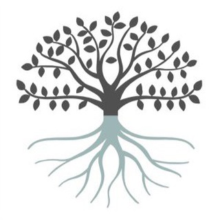 Логотип @stefanomanera - Dott. Stefano Manera