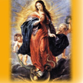 Логотип @stellamatutina - Stellamatutina.eu