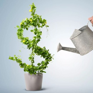 Логотип @stellasinvest - Stella Invest