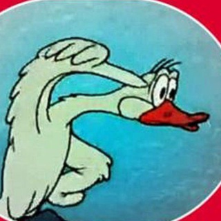 Логотип @sterhpodgribami - Стерх под грибами