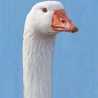 Логотип @stet1ktg - 🌚 СТЭТИК 🍂