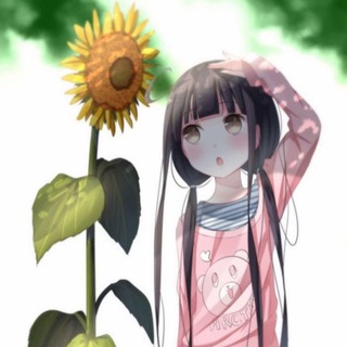 Логотип @stewarthack - skvadminetchikov