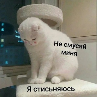 Логотип @stickerhour - Коллекция стикеров