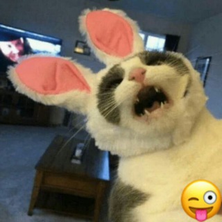 Логотип @stickerochat - StickeroChat