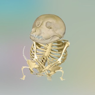 Логотип @stickeroftheday11 - стикер дня