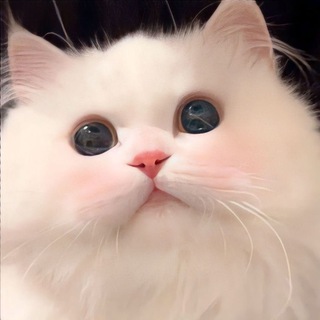 Логотип @stickersey - Stickers