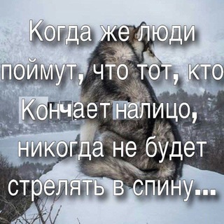 Логотип @stihipolinat_chat - Шутки про еблю
