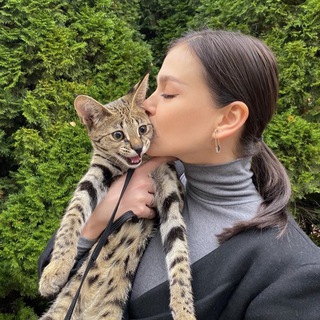 Логотип @stihiya_zi - Stihiya Zi