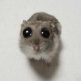 Стикеры | Эмодзи