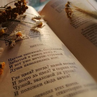 Логотип @stikhidlydushi - Душевные стихи