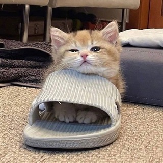 Логотип @stikituti - СТИКЕРЫ ДЛЯ ДИАЛОГОВ