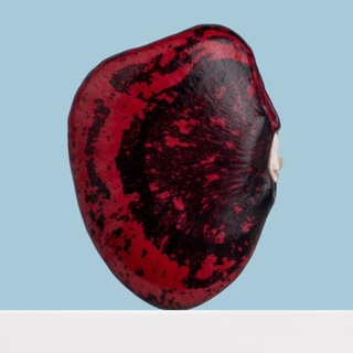 Логотип @still_life_byolya - still life inspi