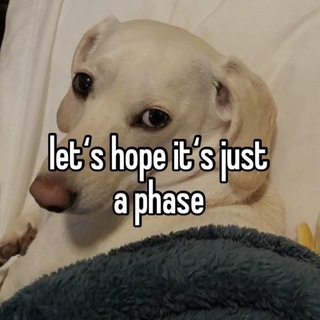 Логотип @stillceika111 - щиттолкер сейка🌹