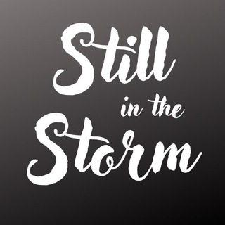 Логотип @stillinthestorm - Still in the Storm