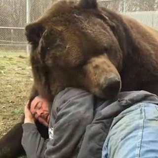 Логотип @stillnofagsbutb8r - I MISS SLAUGHTERHOUSE