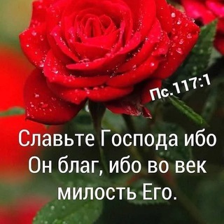 Логотип @stlhi_hrist - Христианские стихи, декламации.