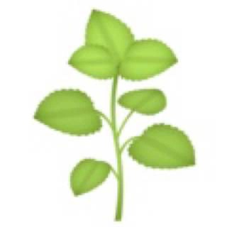 Логотип @stogovalena - Новенькое