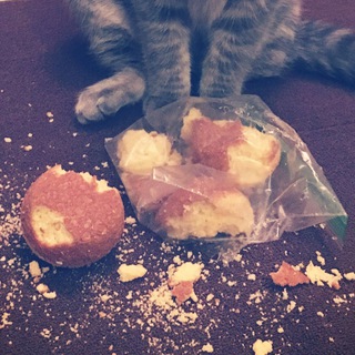 Логотип @stolen_pierogi - Stolen Pierogi