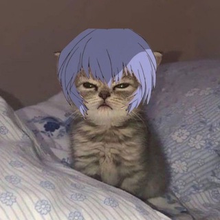 Логотип @stoleneva - Ворованные мемы про Евангелион