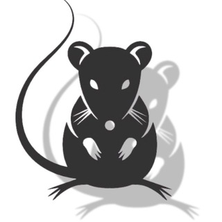 Логотип @stone_rat - Каменський Пацюк 🇺🇦🫡