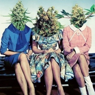 Логотип @stonedgirls - stonedgirls