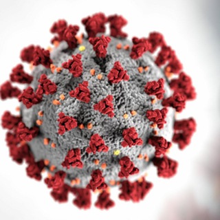 Логотип @stopcorona19 - StopCoronavirus. День Первый