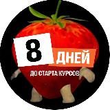 100балльный репетитор | Онлайн-школа ЕГЭ и ОГЭ