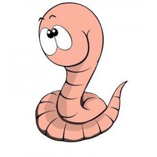 Логотип @stopparasit - 🐛 Антипаразитарная программа 🐛