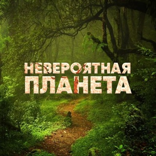 Логотип @stori_planet - Невероятная планета