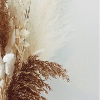 Логотип @stories_contenttop - PSY