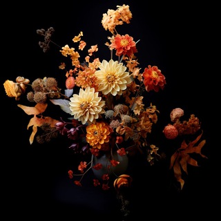 Логотип @stories_nude_instagram - Фоны и заставки