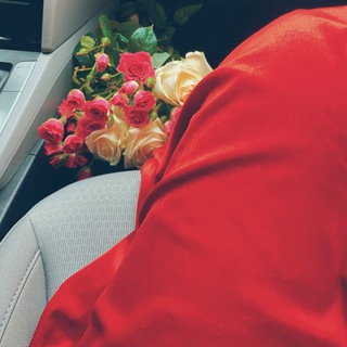 Логотип @storieschatin - A.V🕊