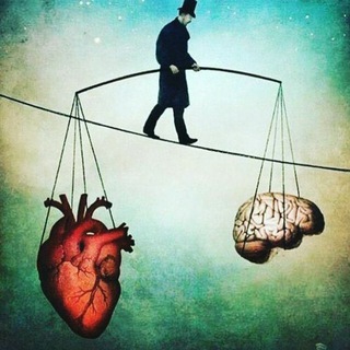 Логотип @storieslive222 - Жизнено