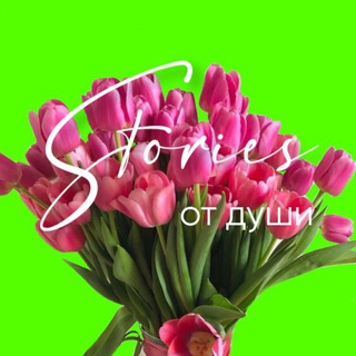 Логотип @storiesotdushi - STORIES ОТ ДУШИ