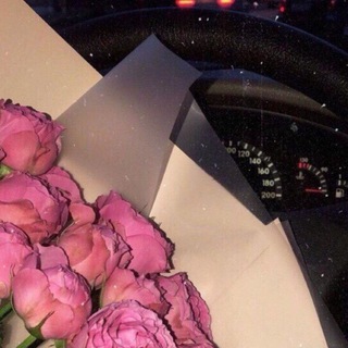 Логотип @storildream - Твои сторис💕