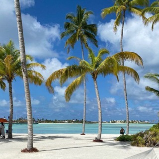 Логотип @storis_kopilka - Копилка идей для сторис