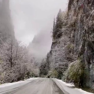 Логотип @storis_video - Красивые видео для сторис