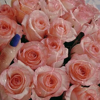 Логотип @storisandfoourouinstagramm - Фото и сторис для инстаграмм