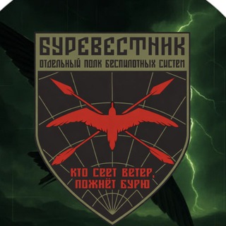 Логотип @stormbirdsquad - Буревестник | Отдельный полк