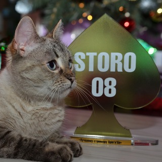 Логотип @storo08chat - storo08 сhat
