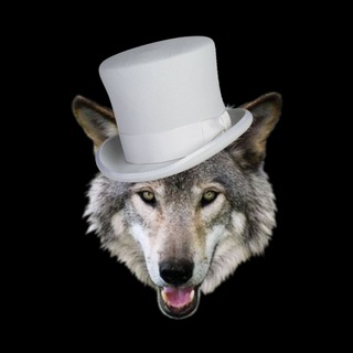 Логотип @str1ker17 - STR1KER🇺🇸🤘🐺🤘🇺🇸