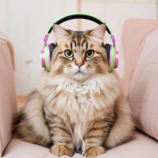 Логотип @strannikmusic - Strannik | Music 🎶