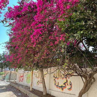 Логотип @strannikteleg - 𝚜𝚝𝚛𝚊𝚗𝚗𝚒𝚔.