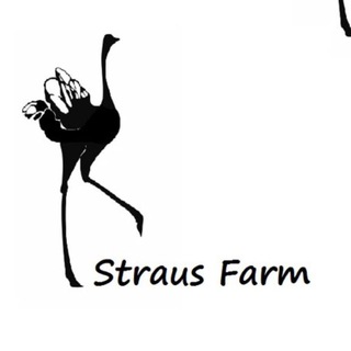 Логотип @strausfarm - 🇺🇿Straus Farm🇬🇧